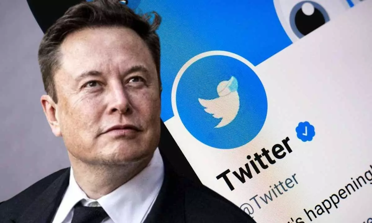 Twitter still in the red: Elon Musk