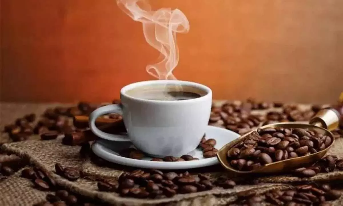 Espresso coffee may prevent risk of Alzheimer’s disease