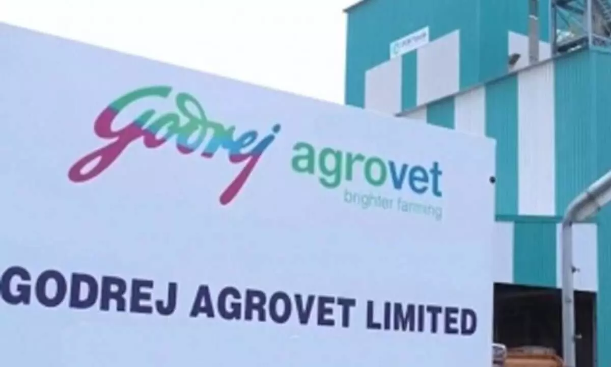 Godrej Gracia product for AP, TS chilli farmers