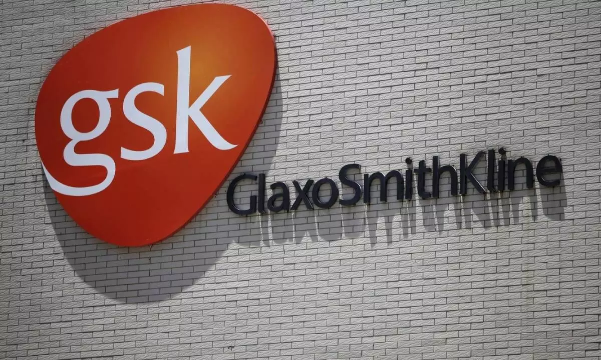 GSK Pharma net profit rises 11%