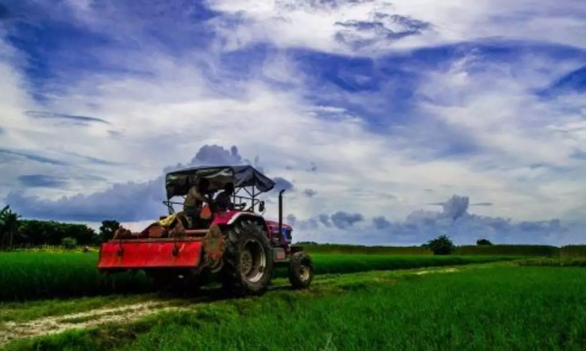 Indian agri industry sees green pastures over EU norms