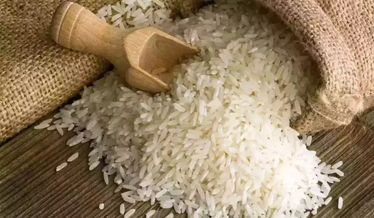 Centre may relax rice export ban post harvest