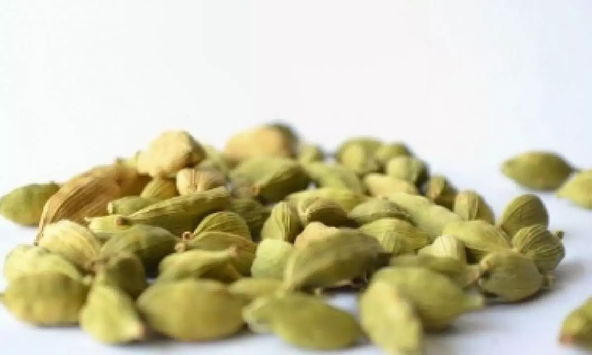 Superfood cardamom may increase appetite, burn fat: Study