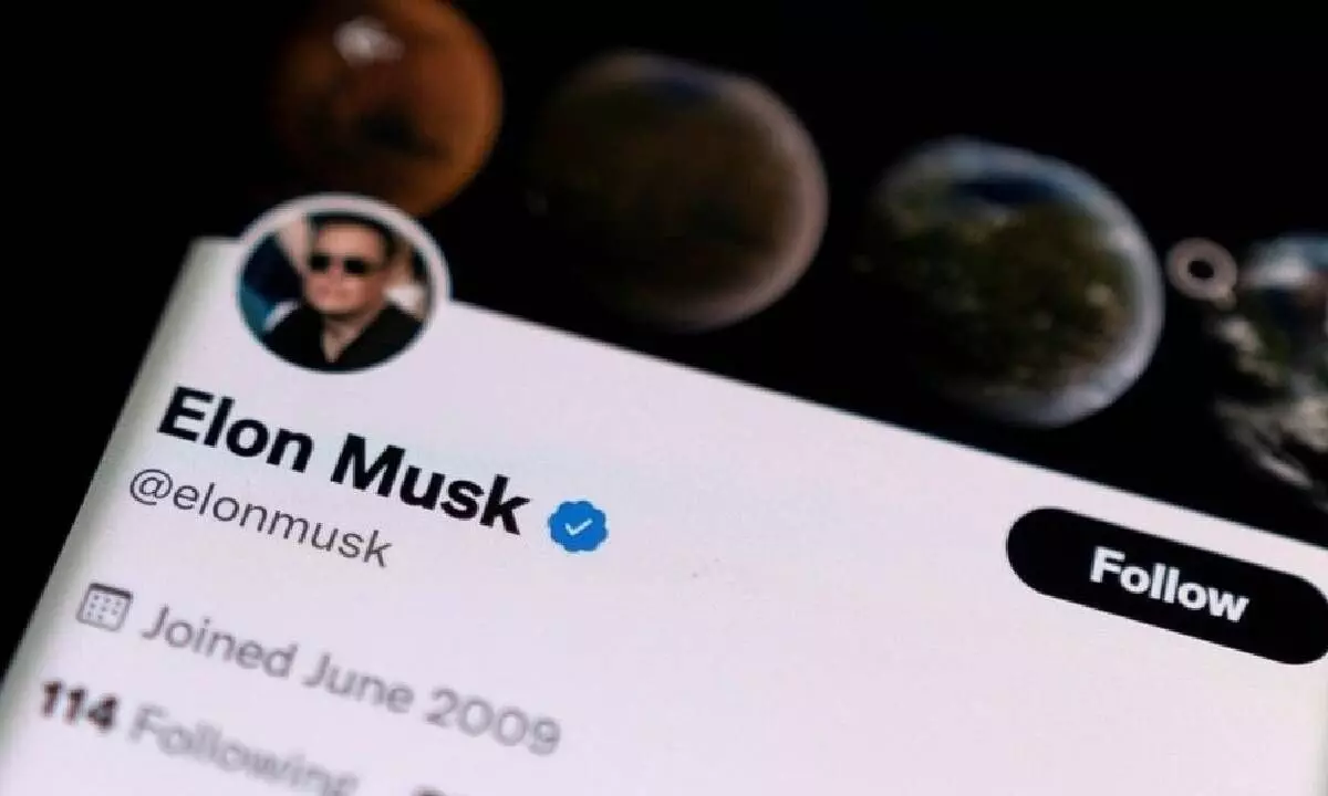 Majority of Musk’s X followers fake?