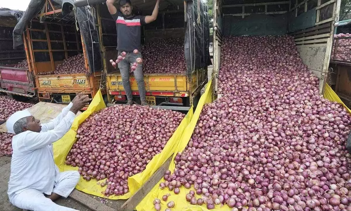 Onion auctions to resume at APMCs