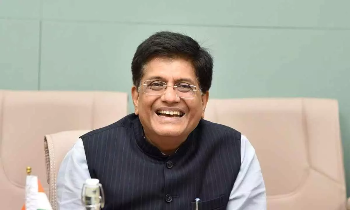 G20 ministers’meet adopts outcome document: Goyal