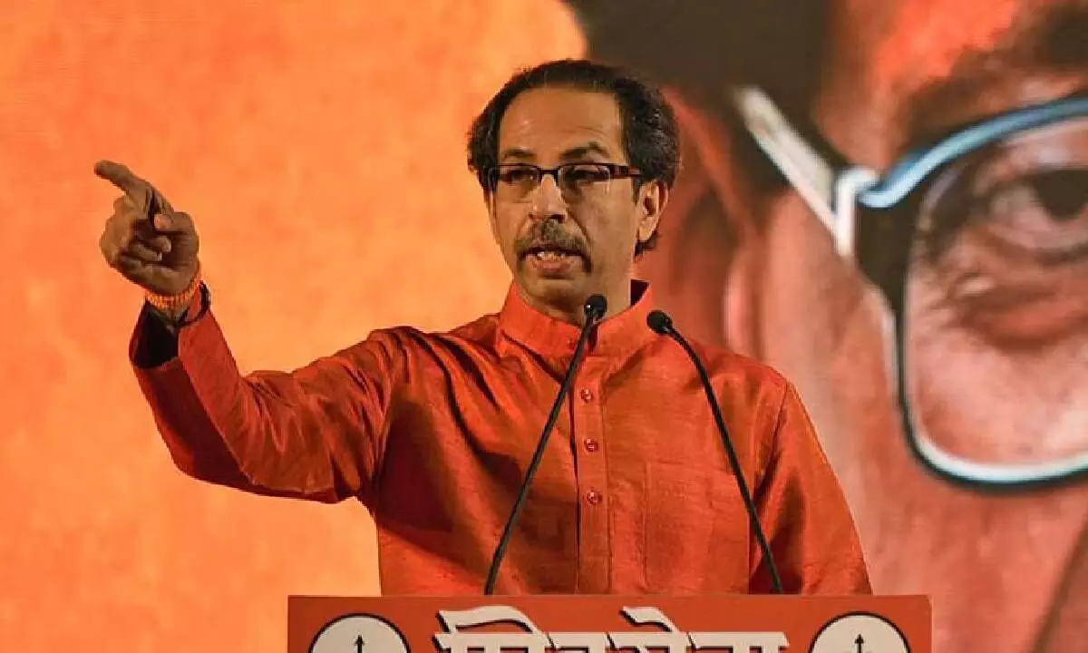 Like amoeba, NDA has no definite shape: Uddhav