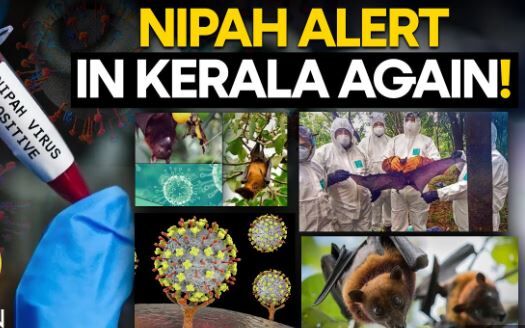 Kerala Government Designates Containment Zones Following Nipah Virus ...