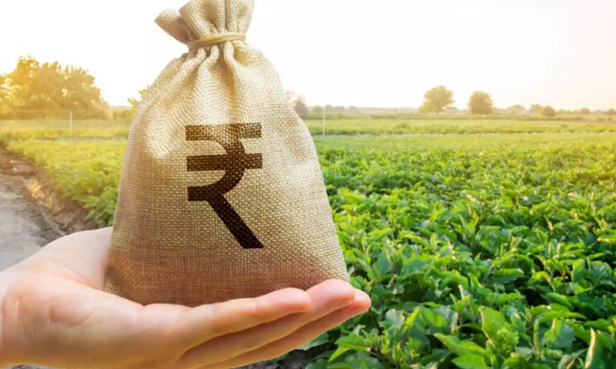 Investments in Indian agri-tech startups fall 45%