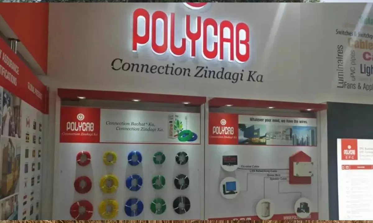 Purpose and Values । Polycab India Limited