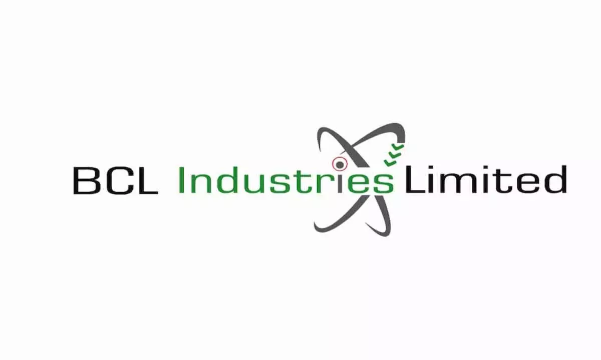 BCL Industries to subdivide shares in 1:10 ratio