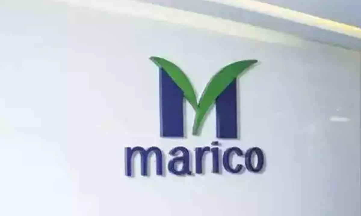 Marico cracks over 4% after it flags lower revenue