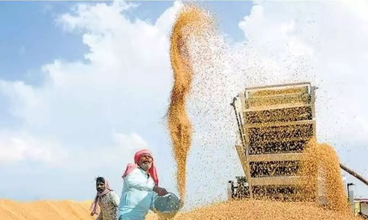 Foodgrain production estimated to touch record 3,297L tonnes