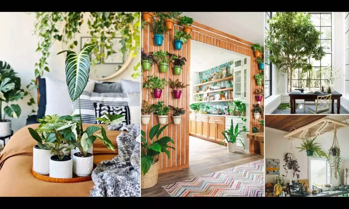 Tips for creating a green oasis in your home