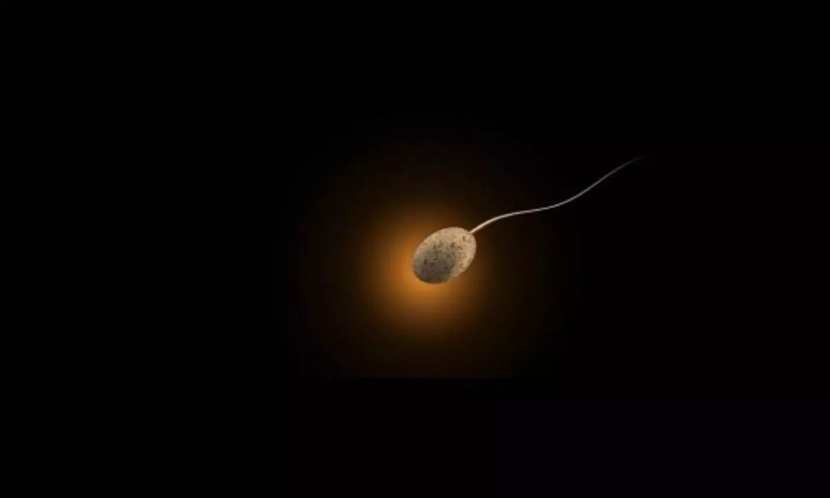 Study finds protein linked to cause of male infertility