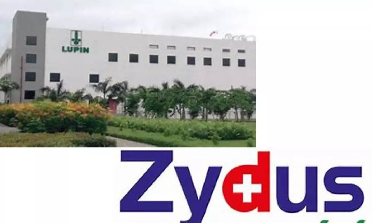 Lupin, Zydus ink licensing pact