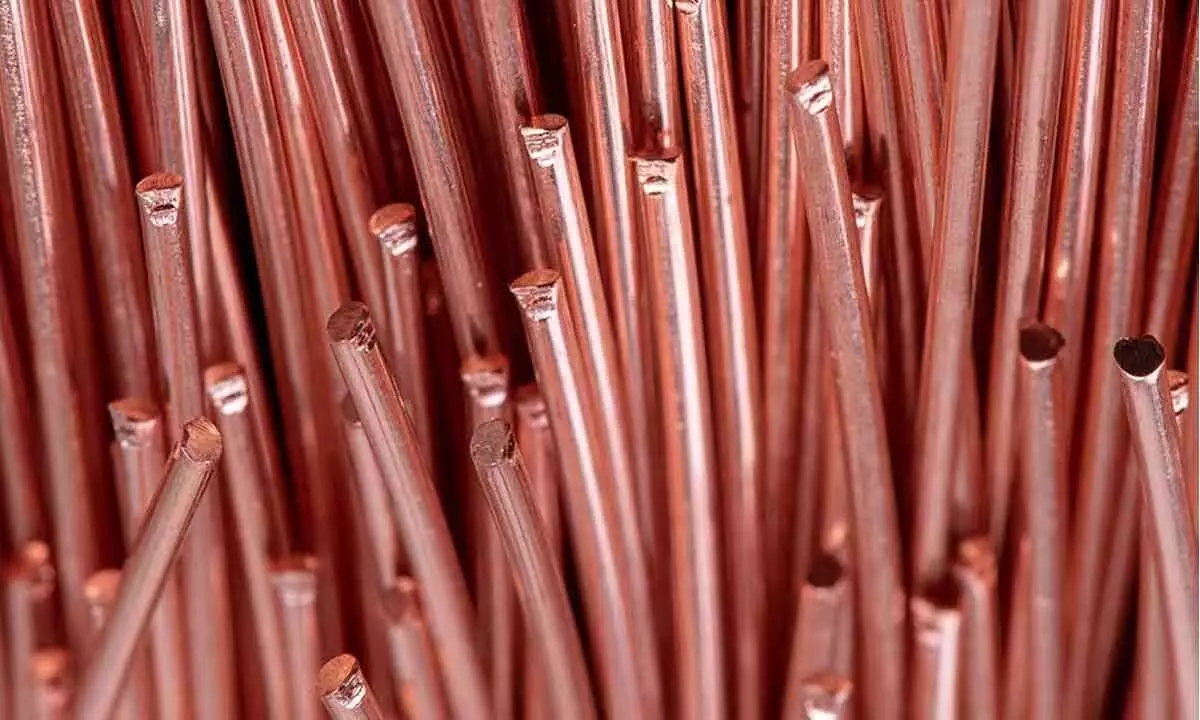 Copper futures gain on firm spot demand