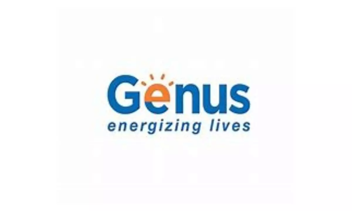 Genus Power Infra wins order