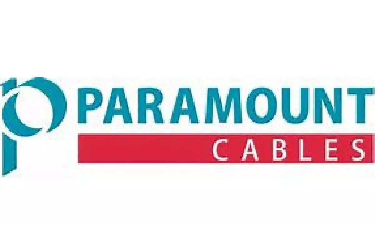 Paramount Cables profit at RS19 cr