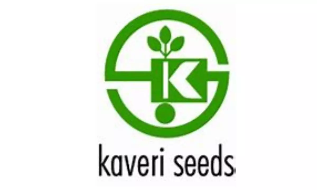 Kaveri Seed PAT up 3x