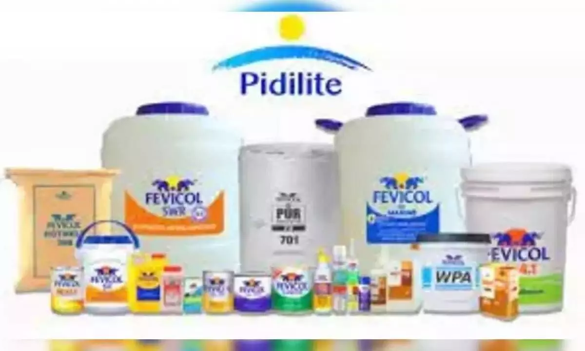 Adhesive maker Pidilite to enter lending biz