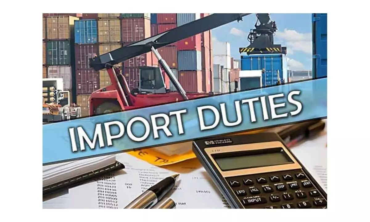 Import duty cut plays down export schemes