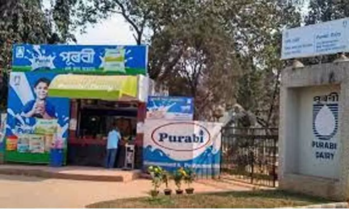 Purabi Dairy to introduce new products