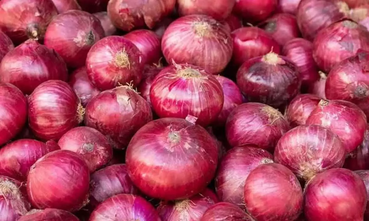 Onion prices fall 9% in Maha: Centre