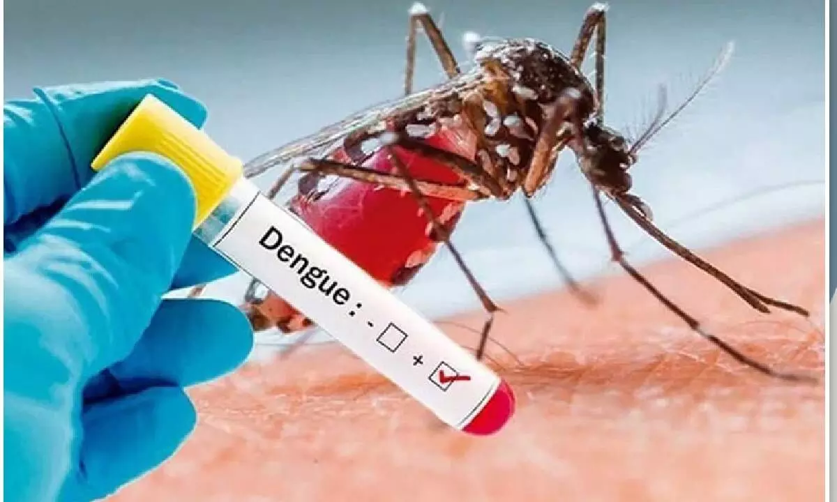 India among countries with most reported dengue deaths in 2023: Report