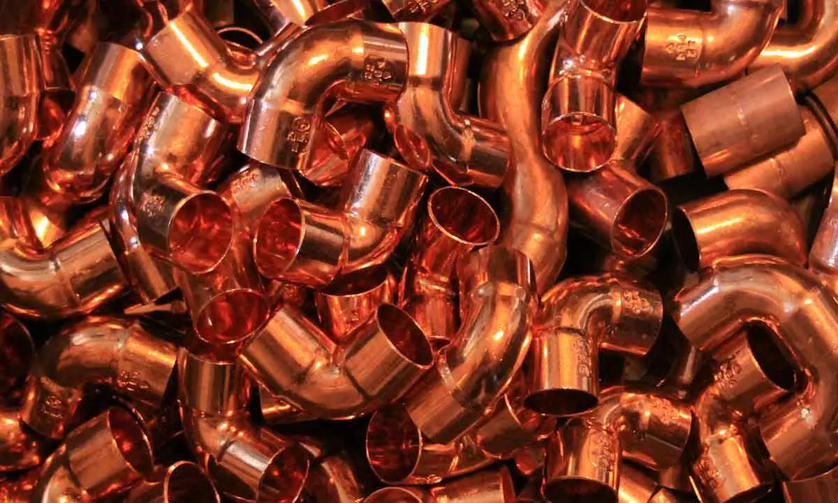 Commodity Watch: Copper futures rebound on spot demand