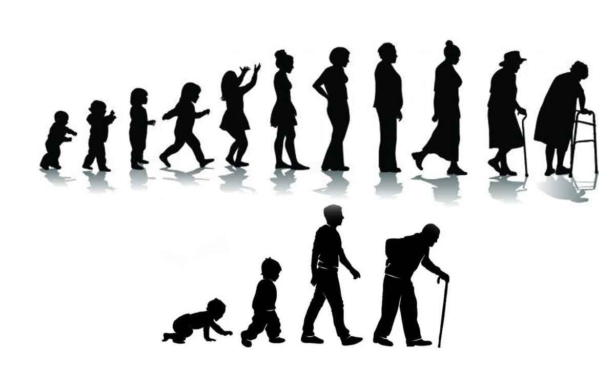 Human’s Age Fast As Our Ancestors Evolved During The Time Of Dinosaurs