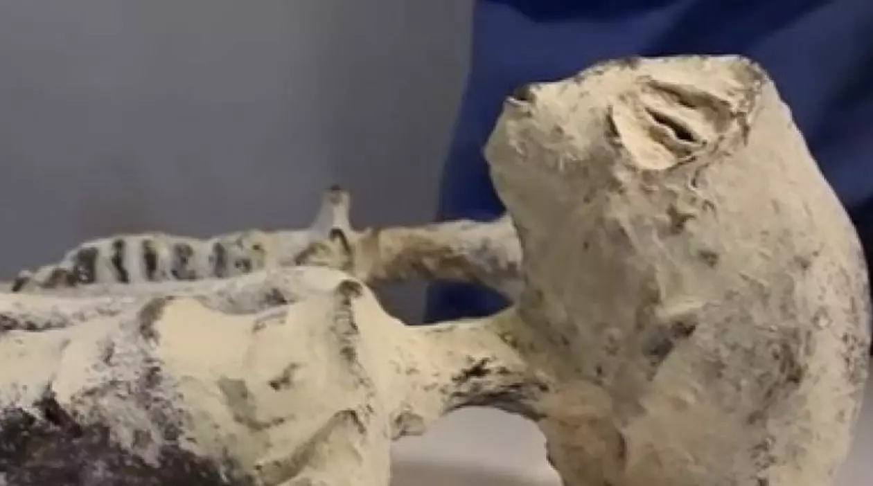 Busted! Peru alien mummies are not extraterrestrial origins