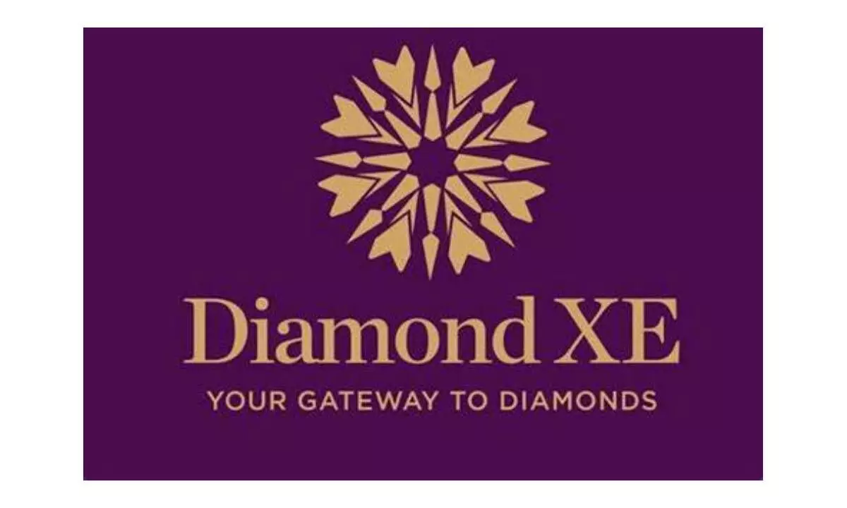 DiamondXE achieves huge growth