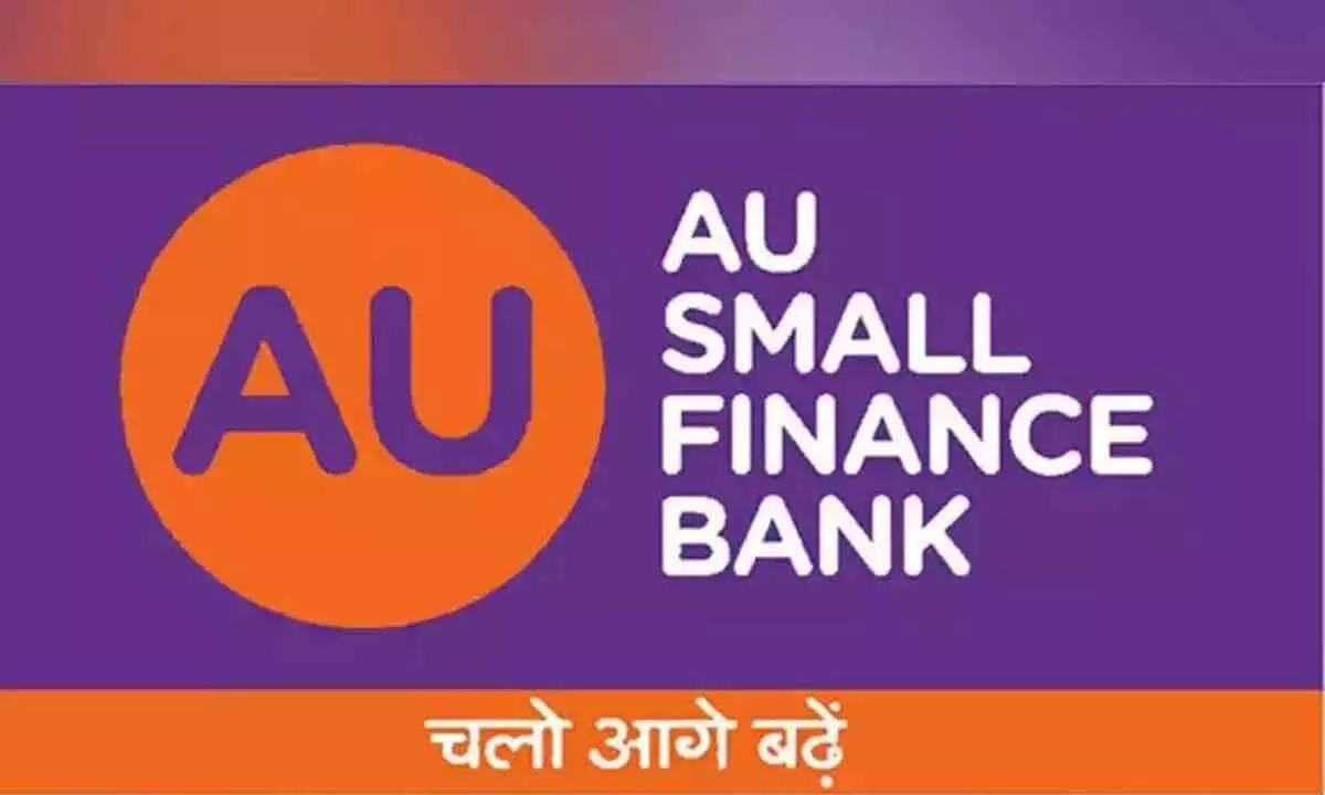 AU Small Fin Bank shares fall 12%