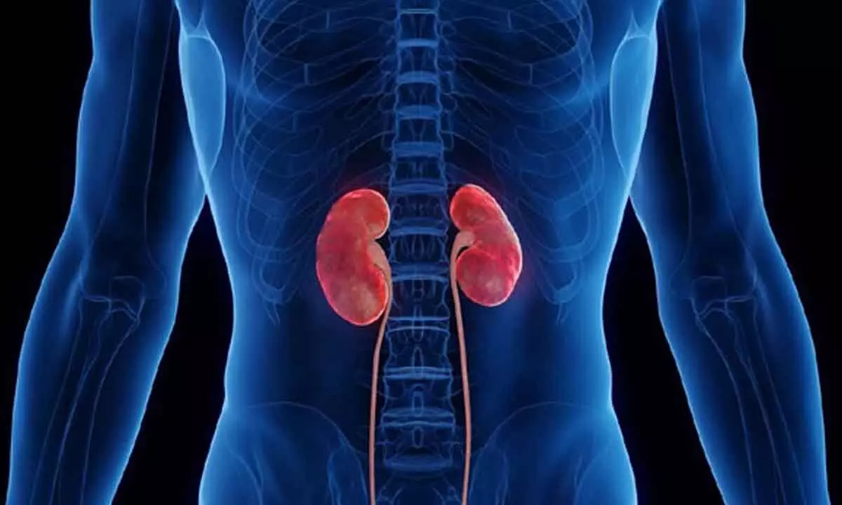 AI could automate lupus nephritis diagnosis: Report