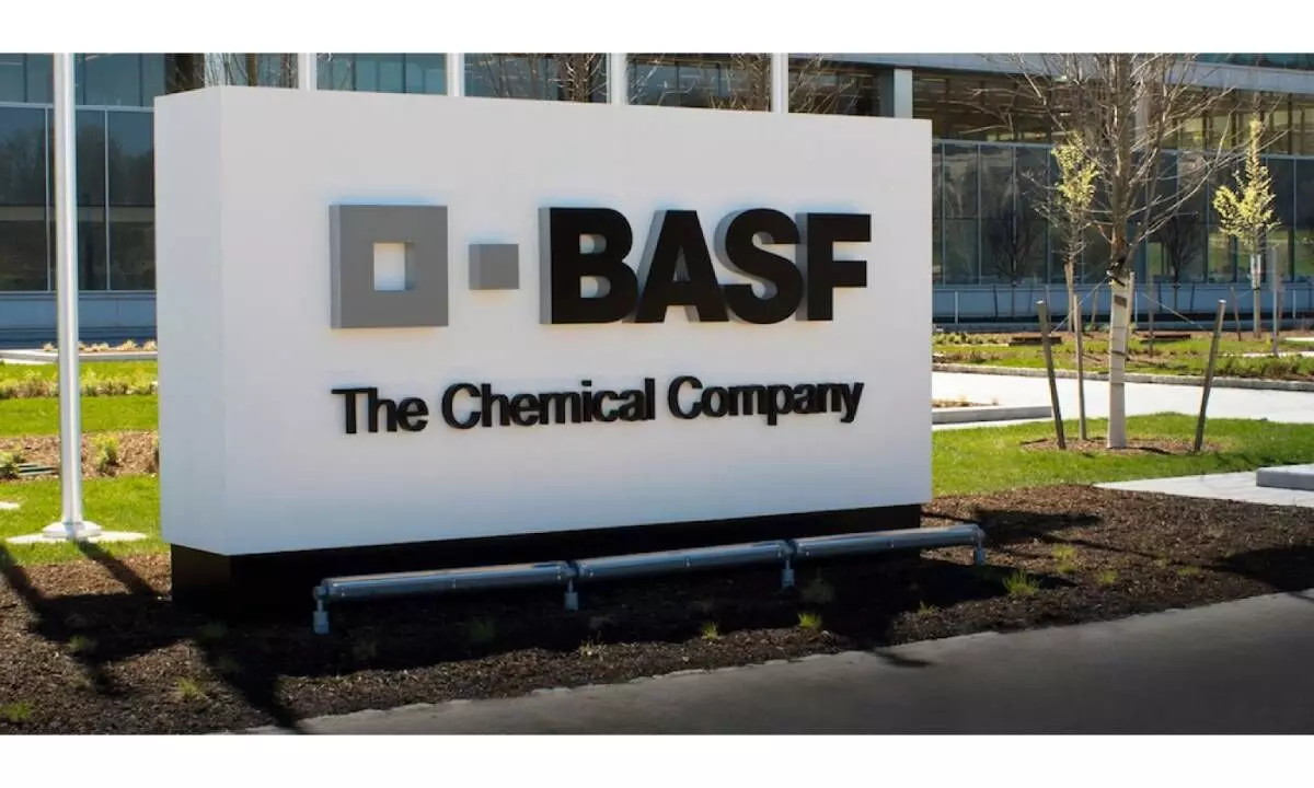 German chemicals firm BASF to withdraw from Xinjiang after Uyghur abuse claims