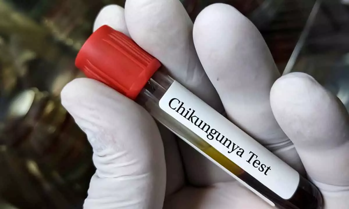 People infected with CHIKV have increased risk of death