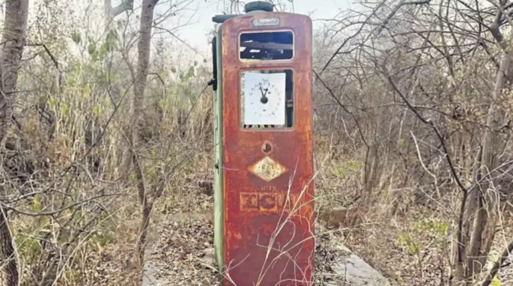 A leisurely stroll unveils relics of Nizams personal petrol pump in KBR National Park!