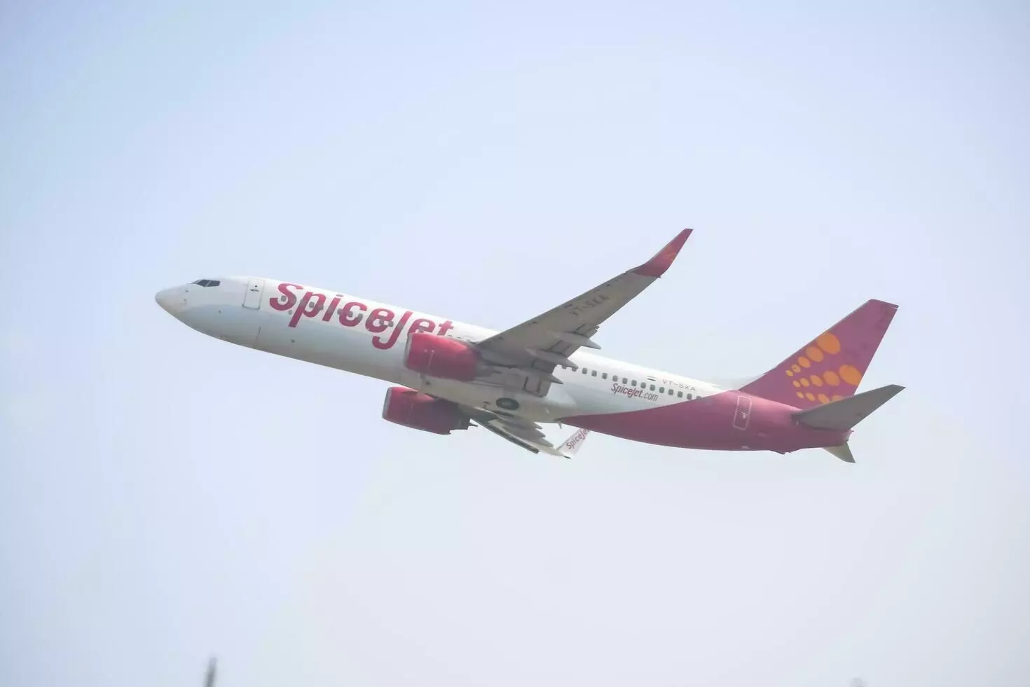 SpiceJet denies KAL Airways Rs 1,323 cr claim, labels it legally baseless