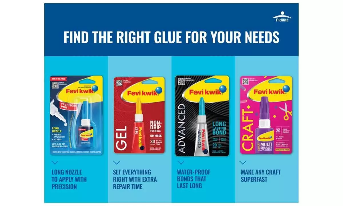 Fevikwik launches new products