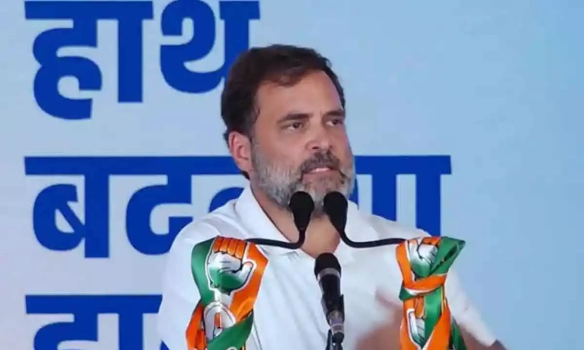 Farmers asking for MSP, youngsters want jobs, but no one listening: Rahul