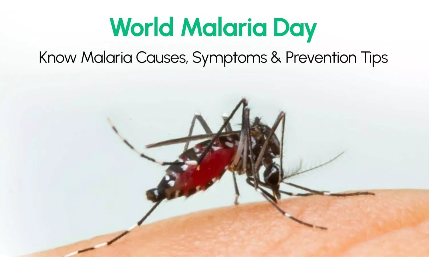 Tips for Speedy Recovery on World Malaria Day 2024