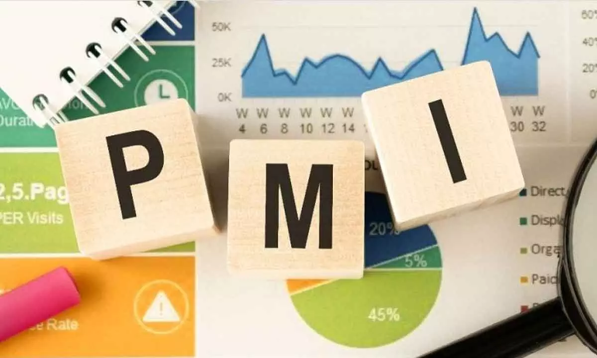 Manufacturing PMI falls but still above long-term average