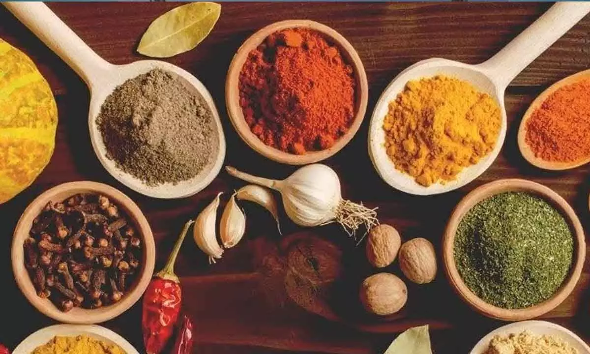 India’s spices exports hit record $4.46 billion in FY24, red chilli up by 15 pc