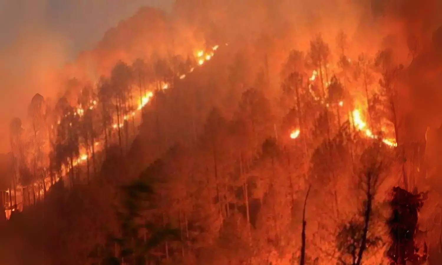 Uttarakhand wildfire claims fifth life in three days