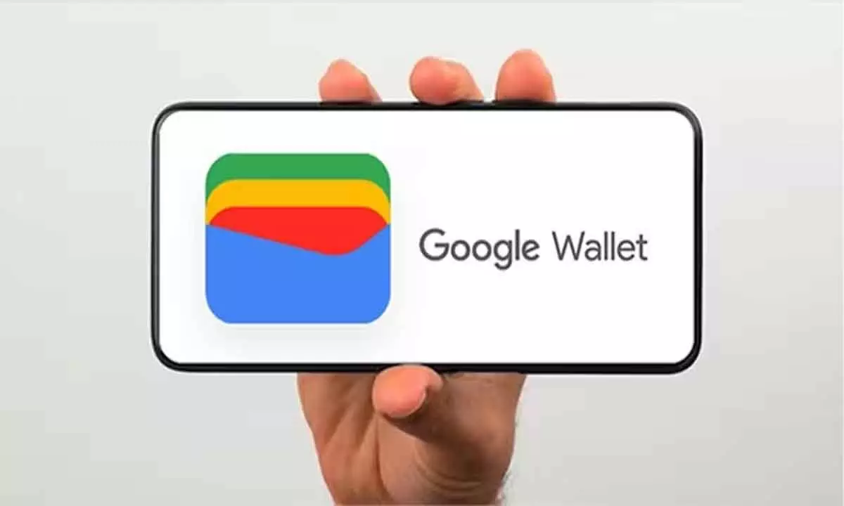 Google rolls out wallet for everyday needs