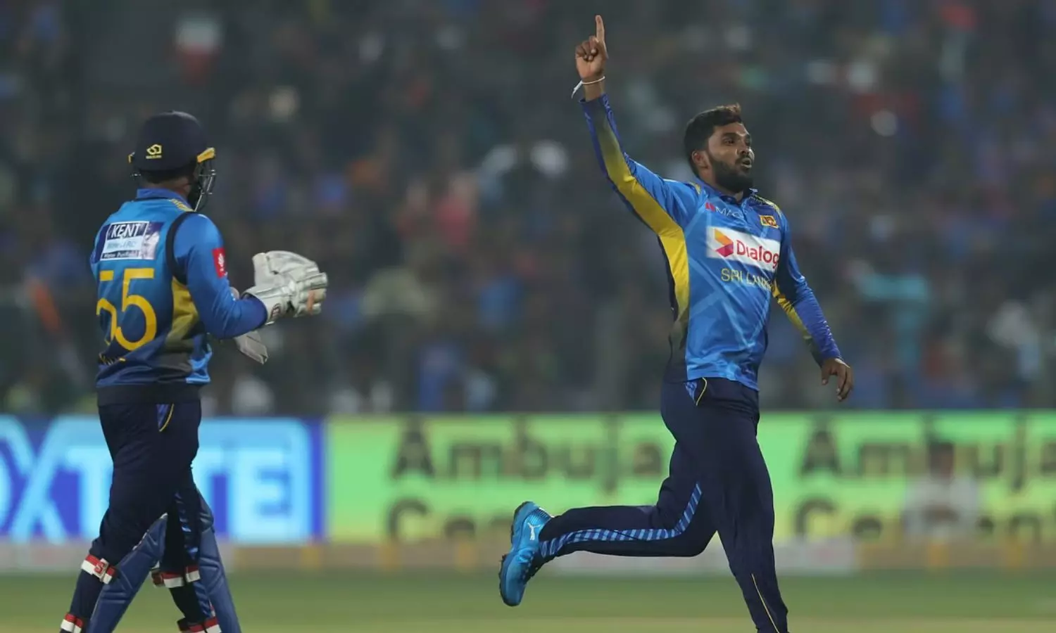 ICC T20 World Cup 2024: Wanindu Hasaranga to lead Sri Lanka, Angelo Mathews returns to squad