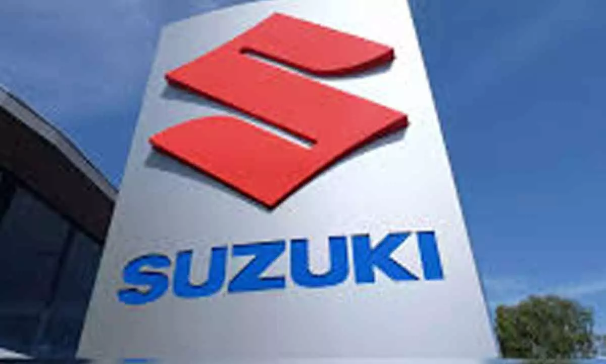 Will expand SUV portfolio to recover mkt share: Suzuki