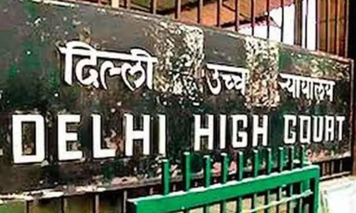 Delhi HC rules out capping airfares