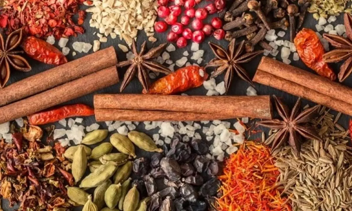 Indian spices under scrutiny in UK